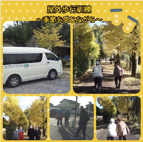 auto_FXzElc.11.26  どんだん屋外歩行訓練.jpg